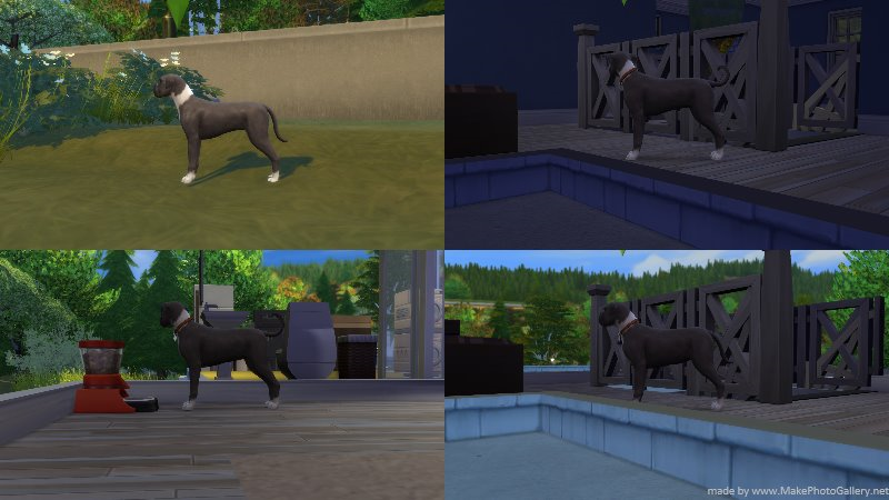 mods for the sims 3 pets